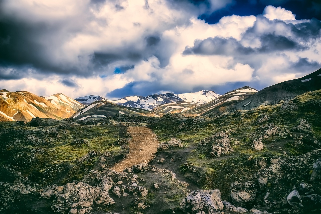 The Untamed Beauty of Iceland’s Hornstrandir Nature Reserve